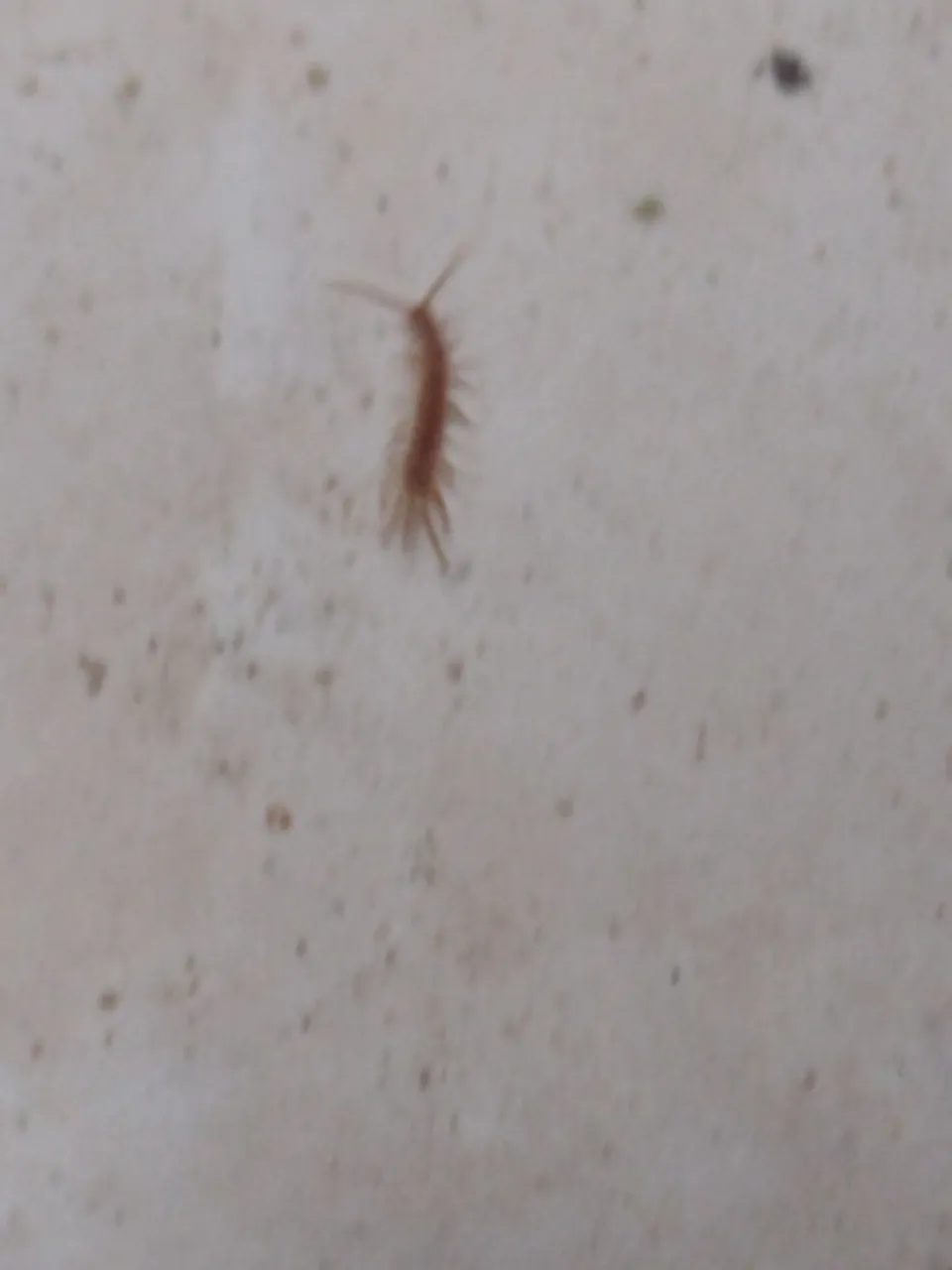 IMG_20221023_101251146.jpg