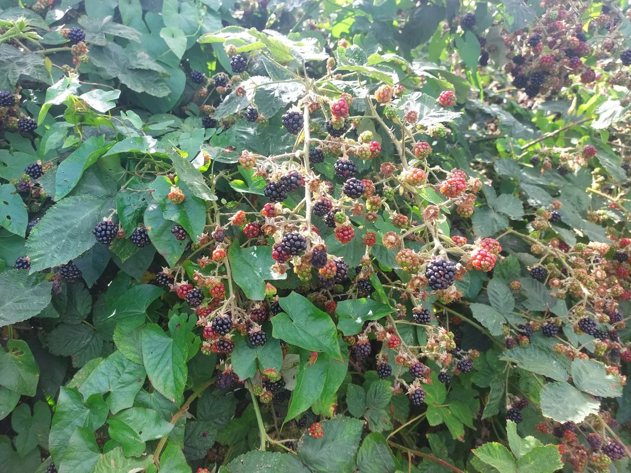 20230802_153249.jpg