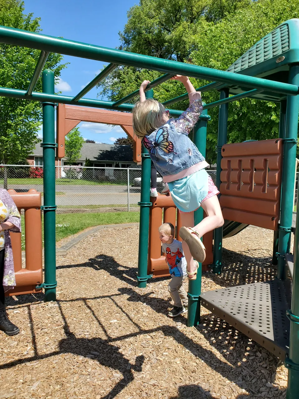 20250504_140045.jpg