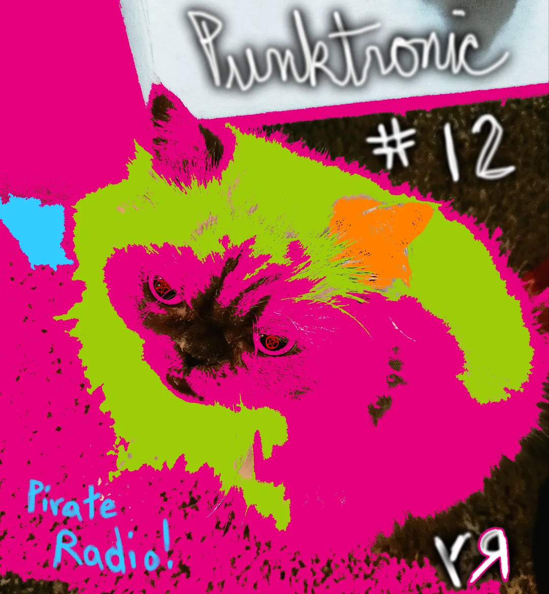 punktronic 012 cover image.png