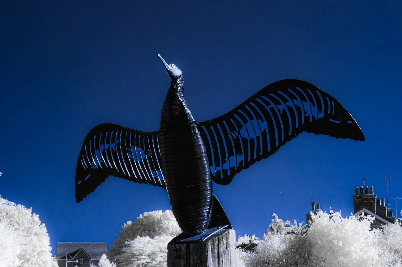 Cormorant Statue at Newhaven Harbour