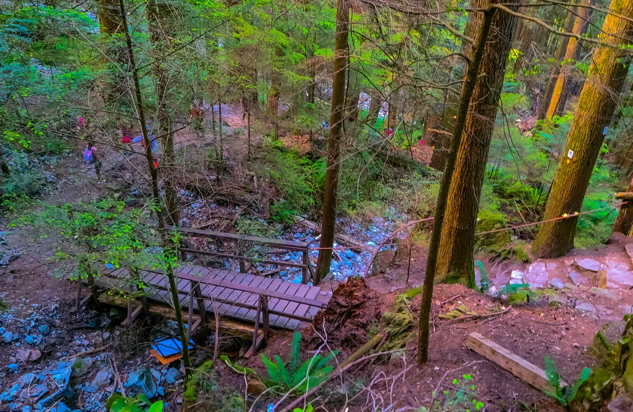 grouse grind bridge high.jpeg