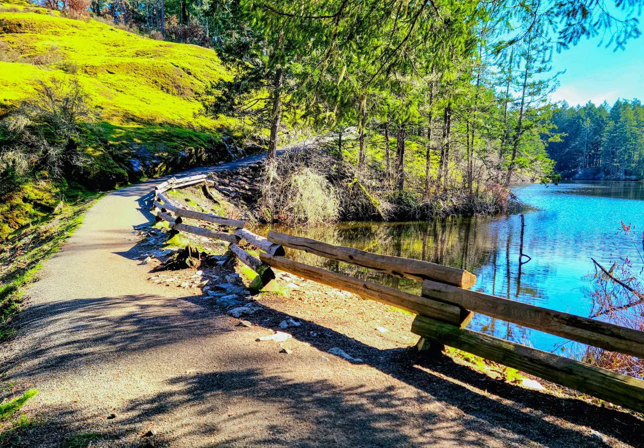 thetis hill trail lake fence.jpeg