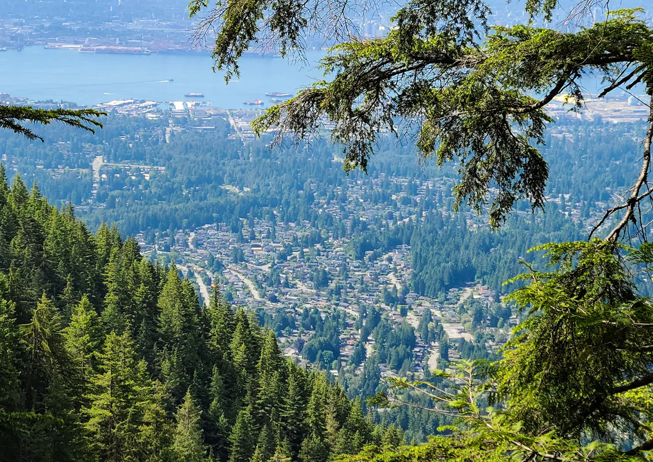 grouse grind halfway lookout.jpeg