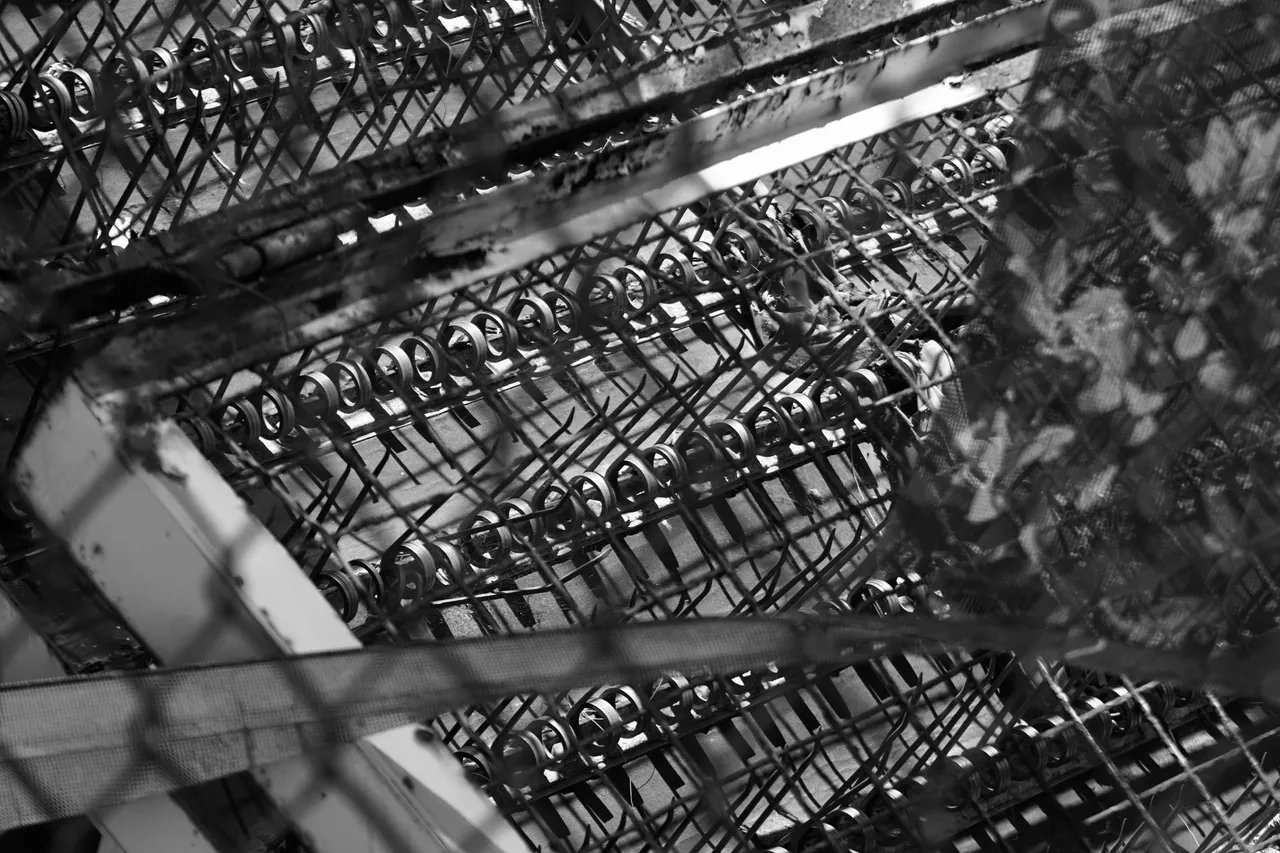 DSC06362.jpeg