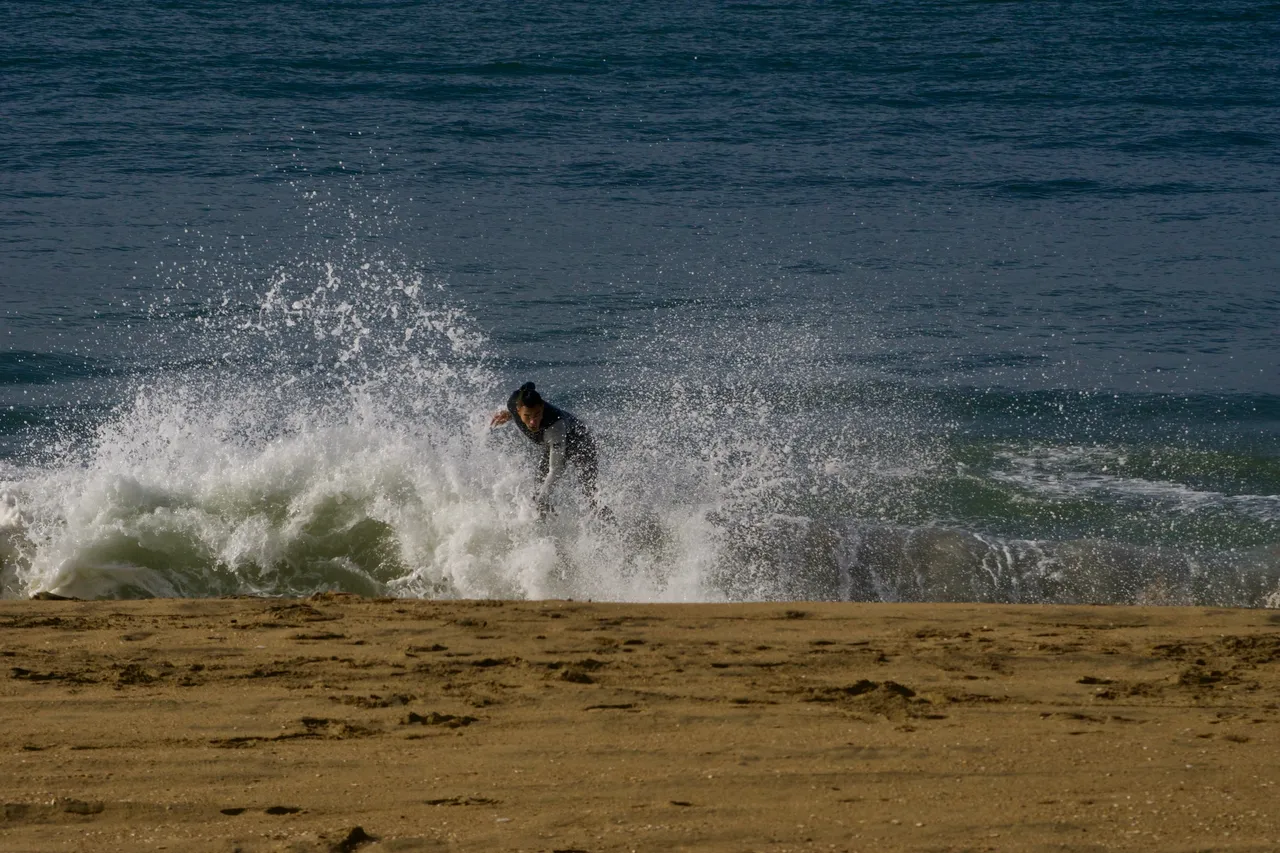 _DSC1949.jpeg