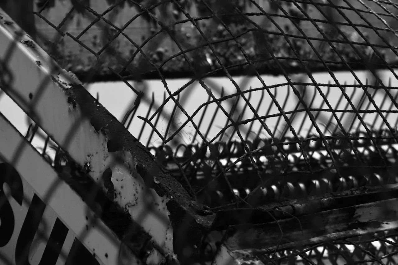 DSC06365.jpeg
