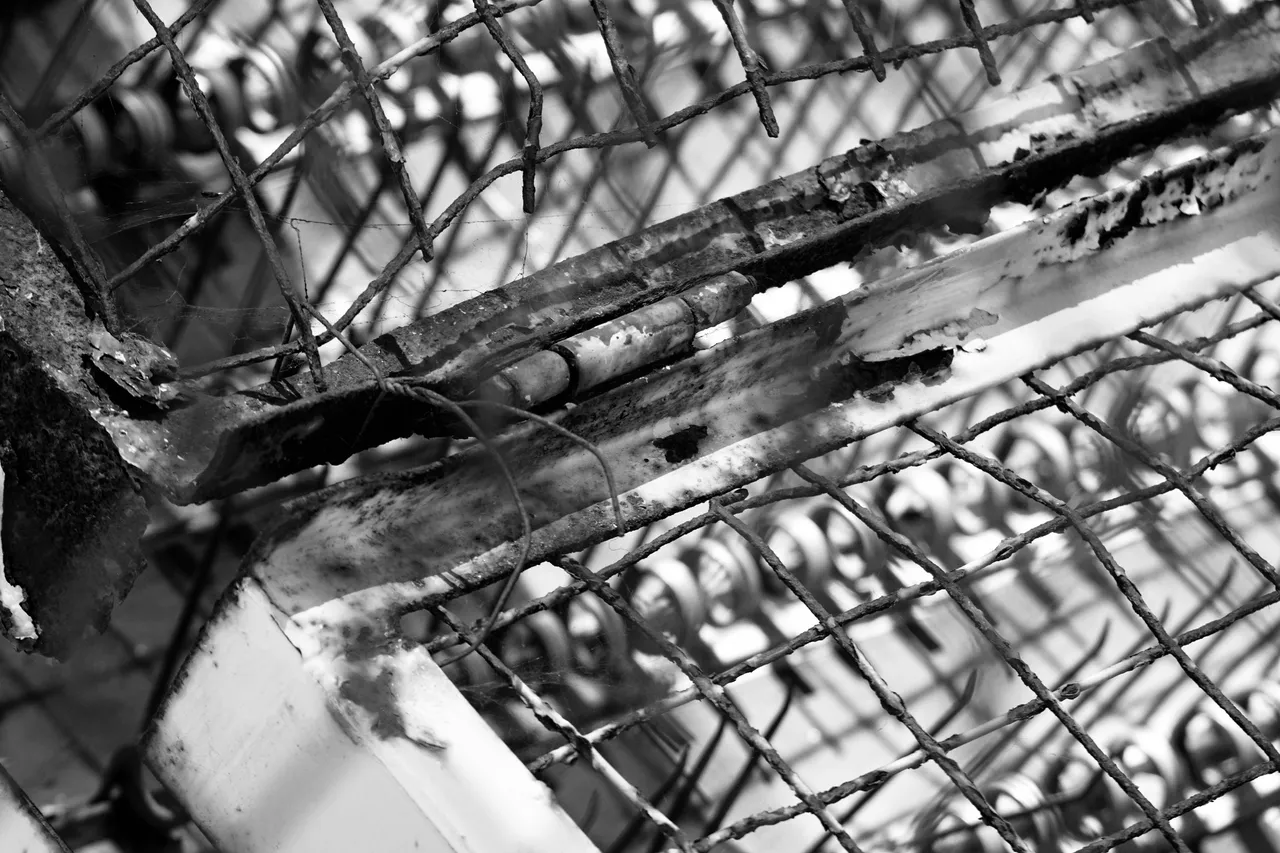 DSC06360.jpeg