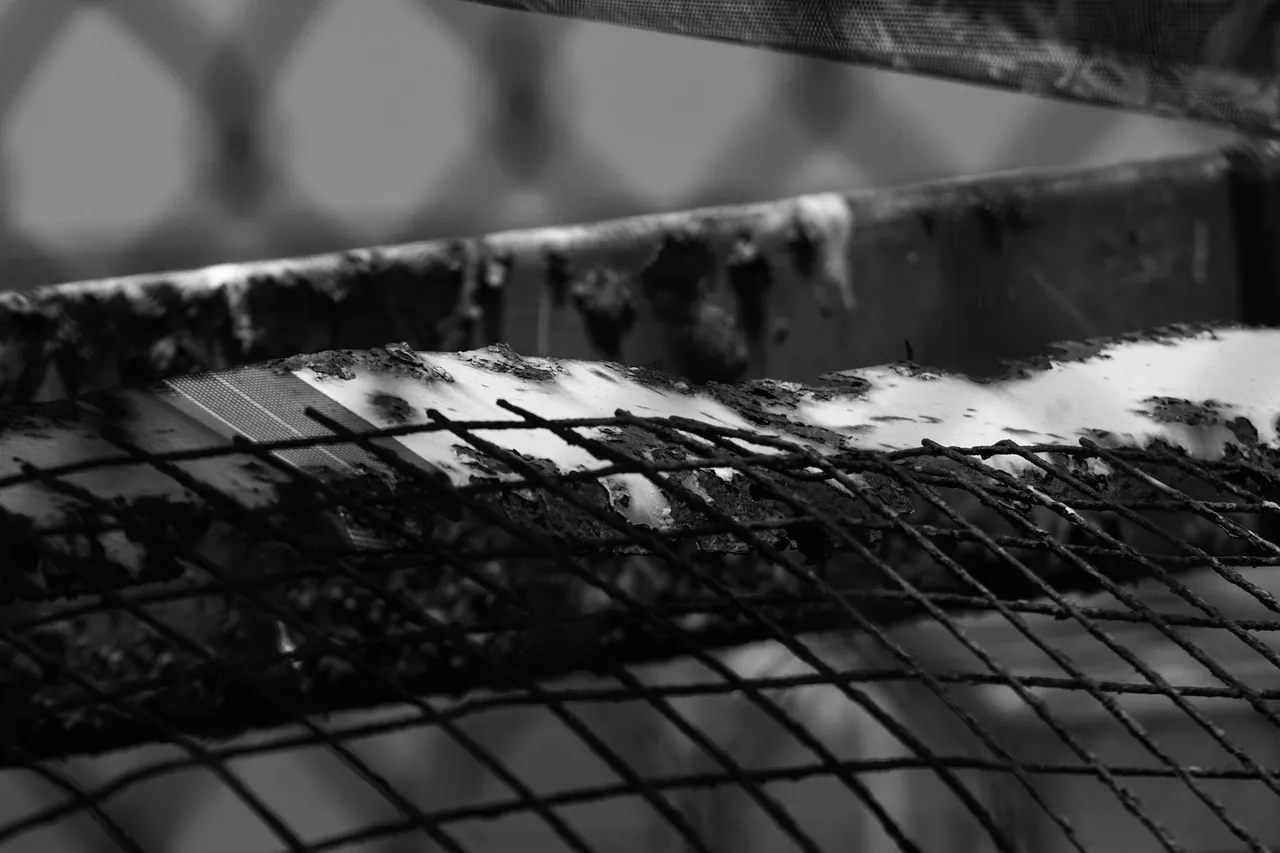 DSC06358.jpeg