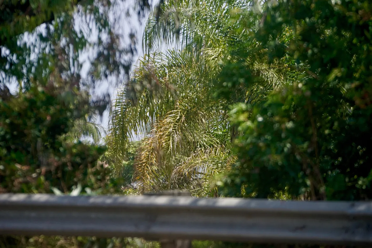DSC07981.jpeg