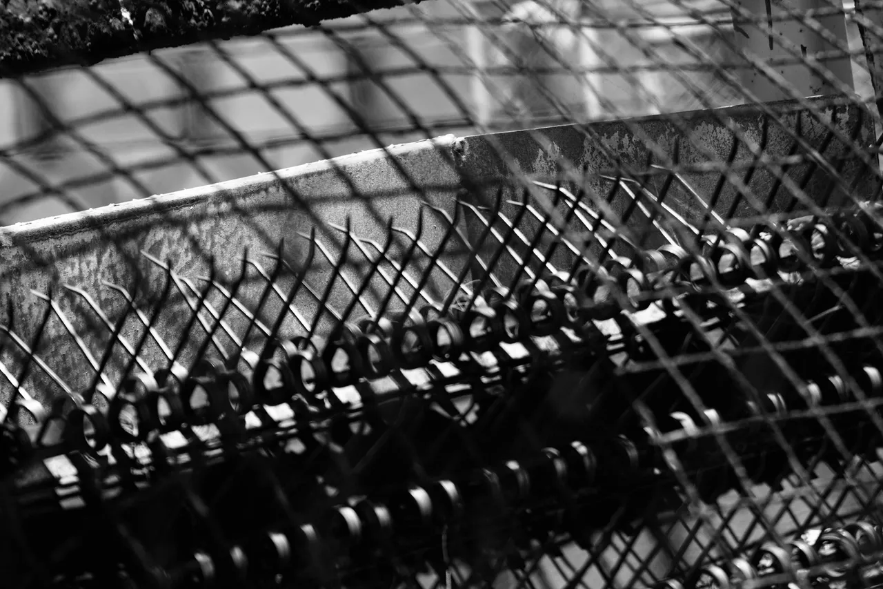 DSC06357.jpeg