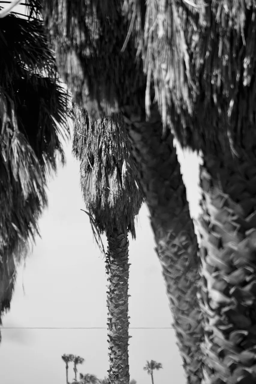 DSC09200.jpeg