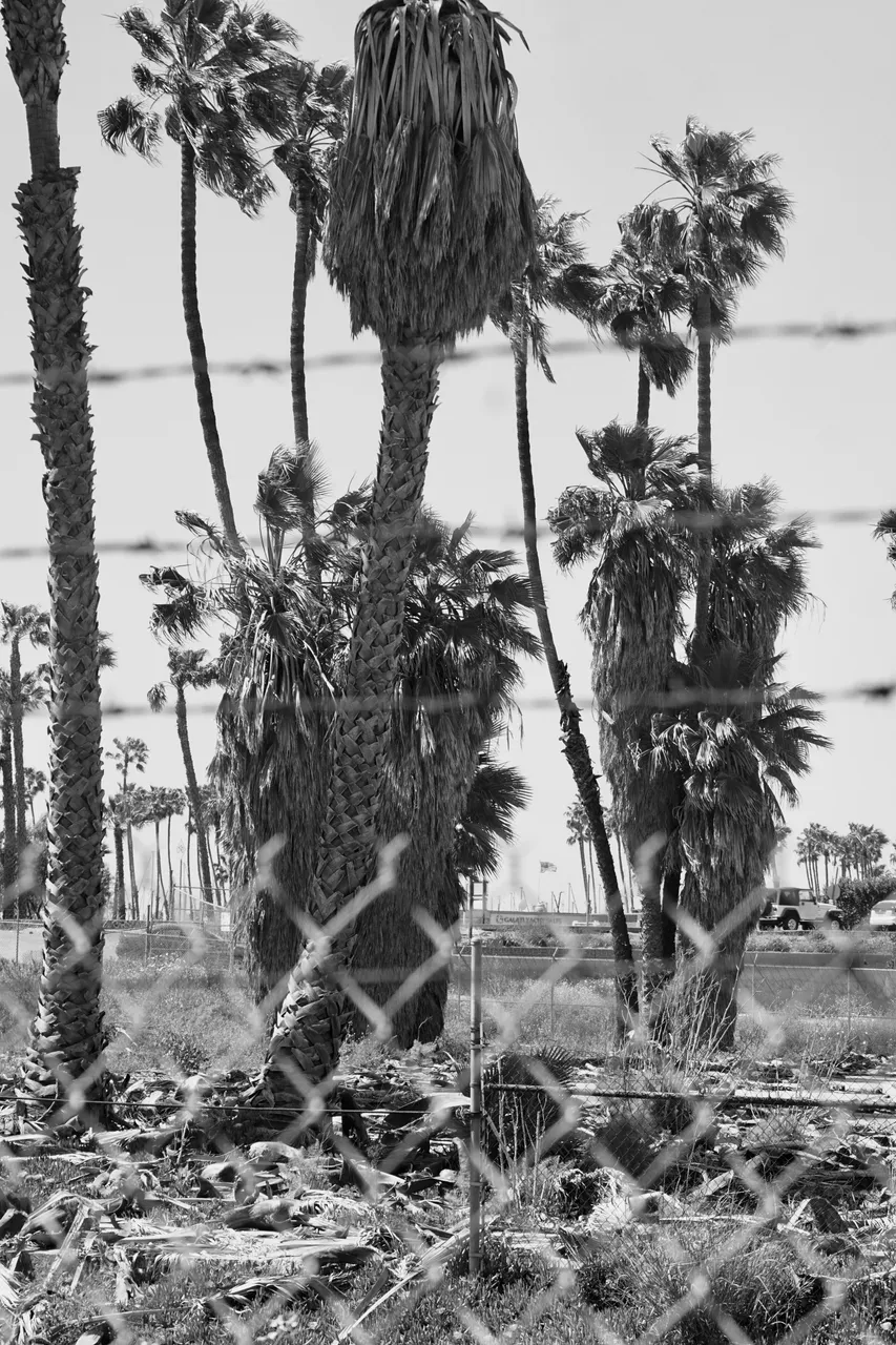 DSC09240.jpeg