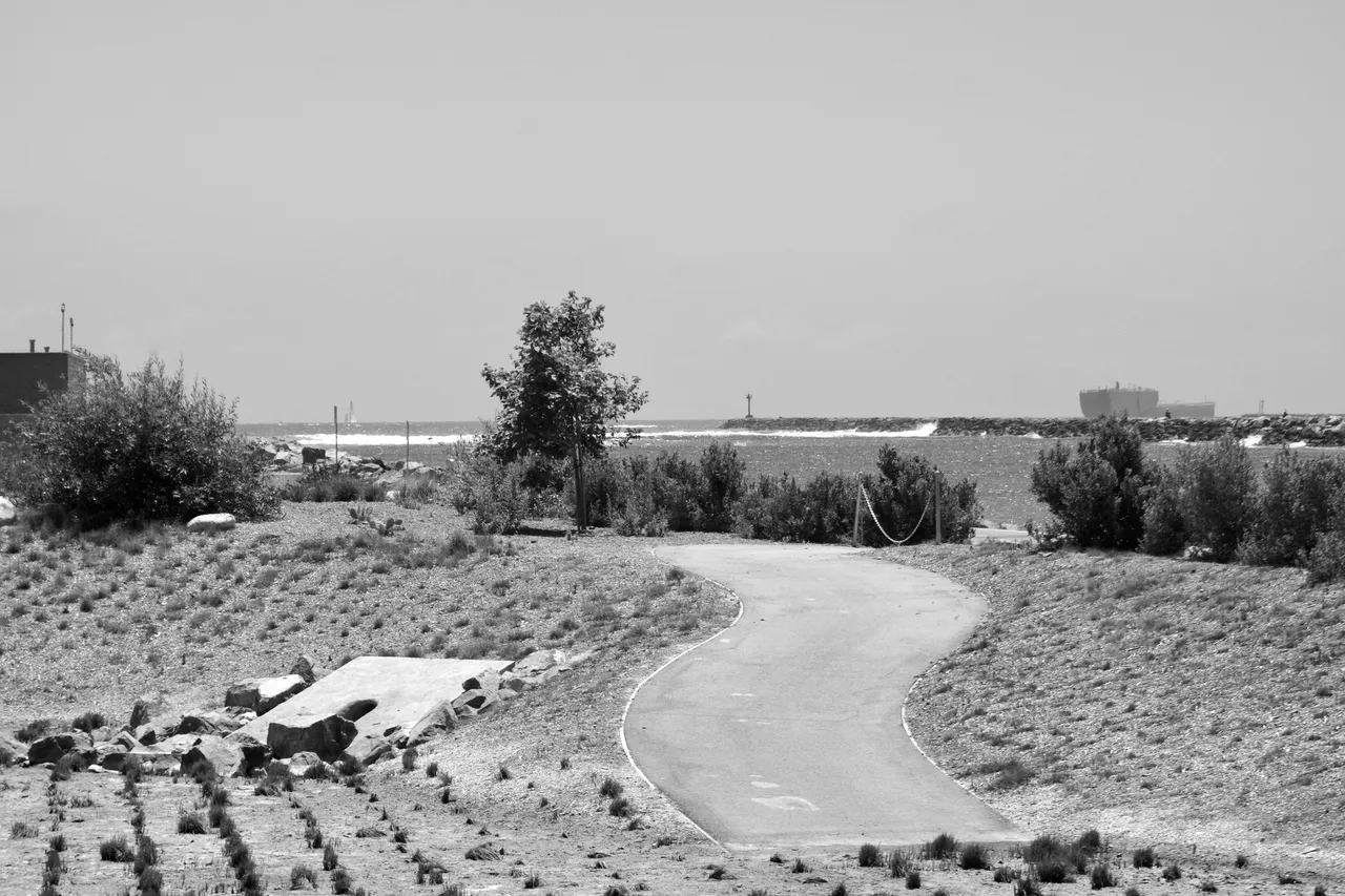 DSC01993.jpeg