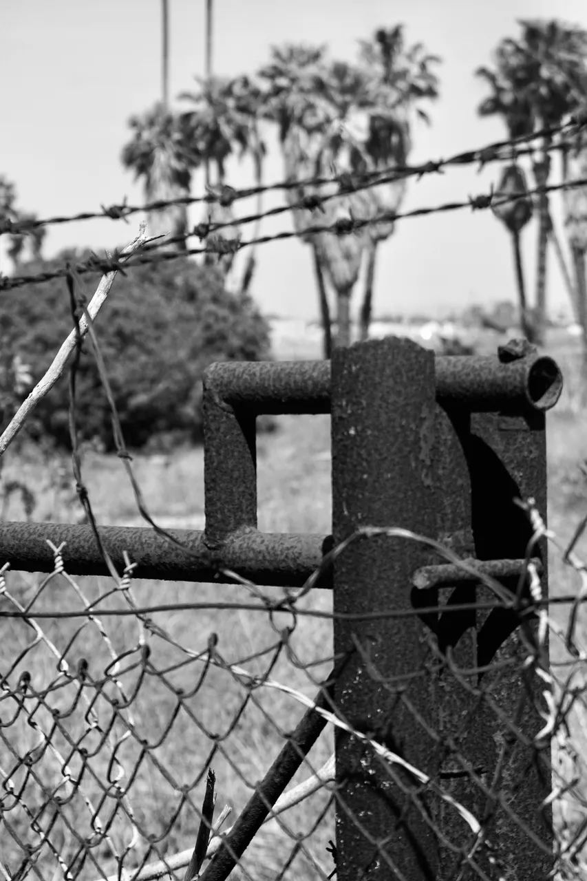 DSC09335.jpeg