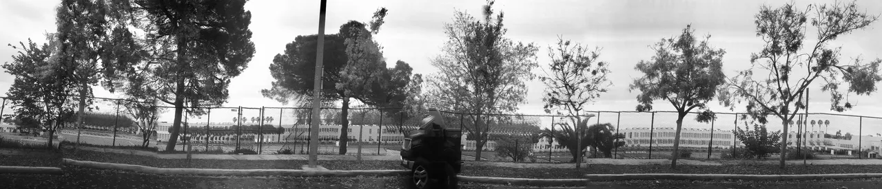 IMG_6226.jpeg