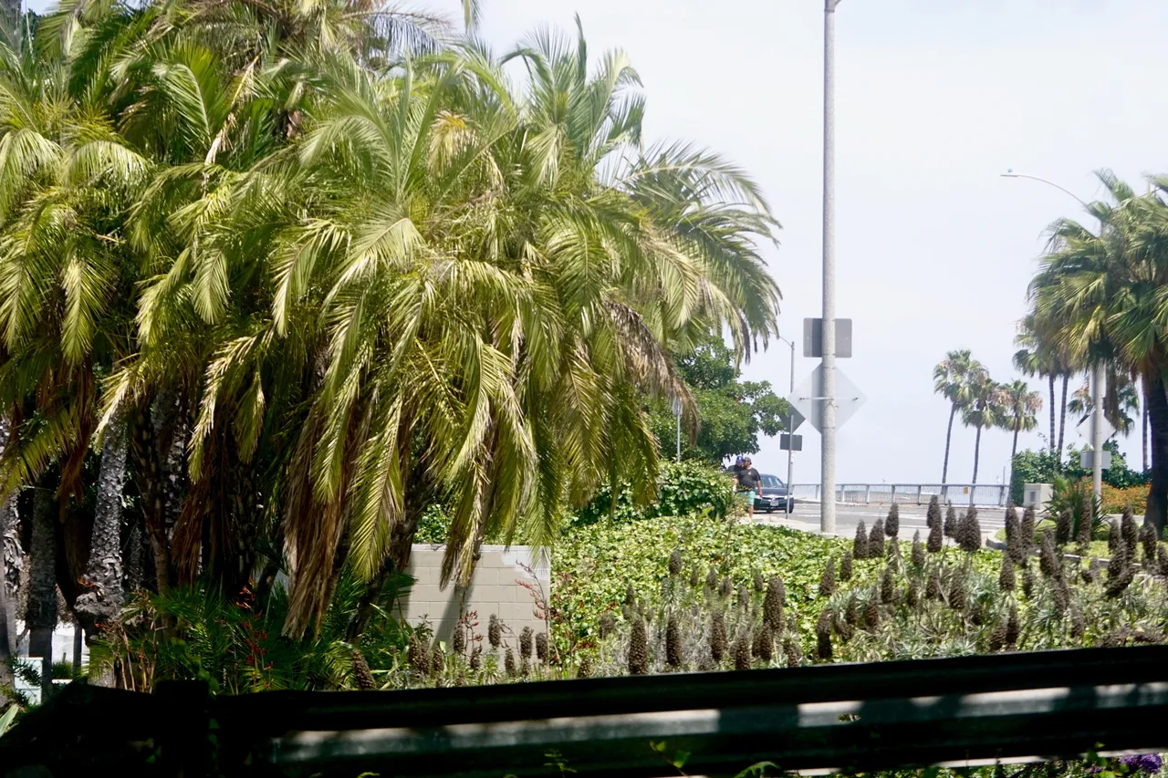 DSC07921.jpeg