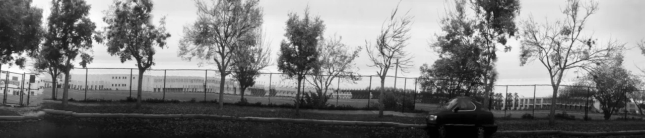 IMG_6225.jpeg