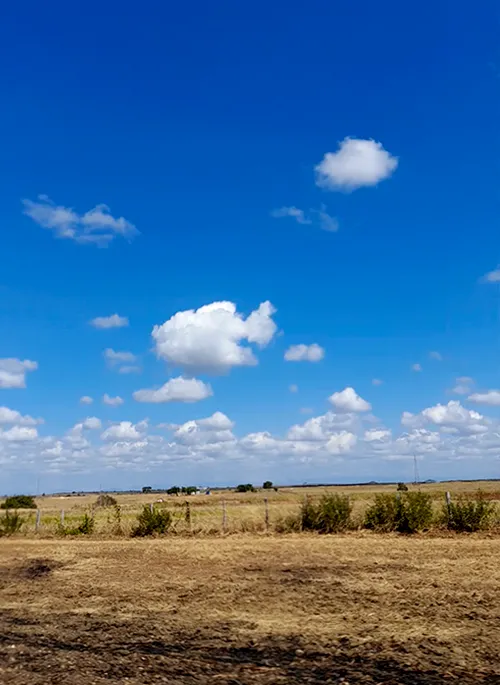 finca de fondo.png