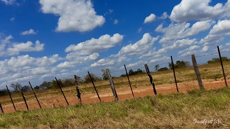 paisaje 2.jpg