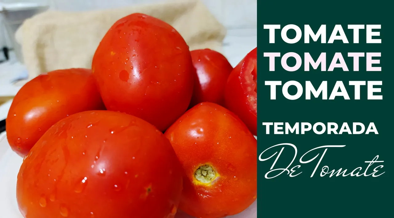 cover 1 1 tomato.png