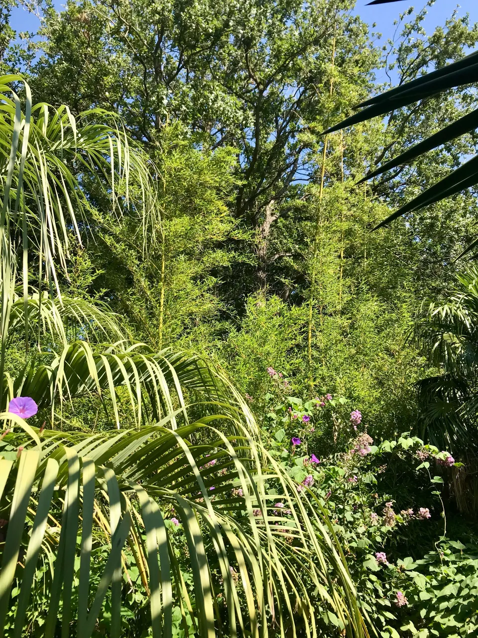 IMG_8585.jpeg