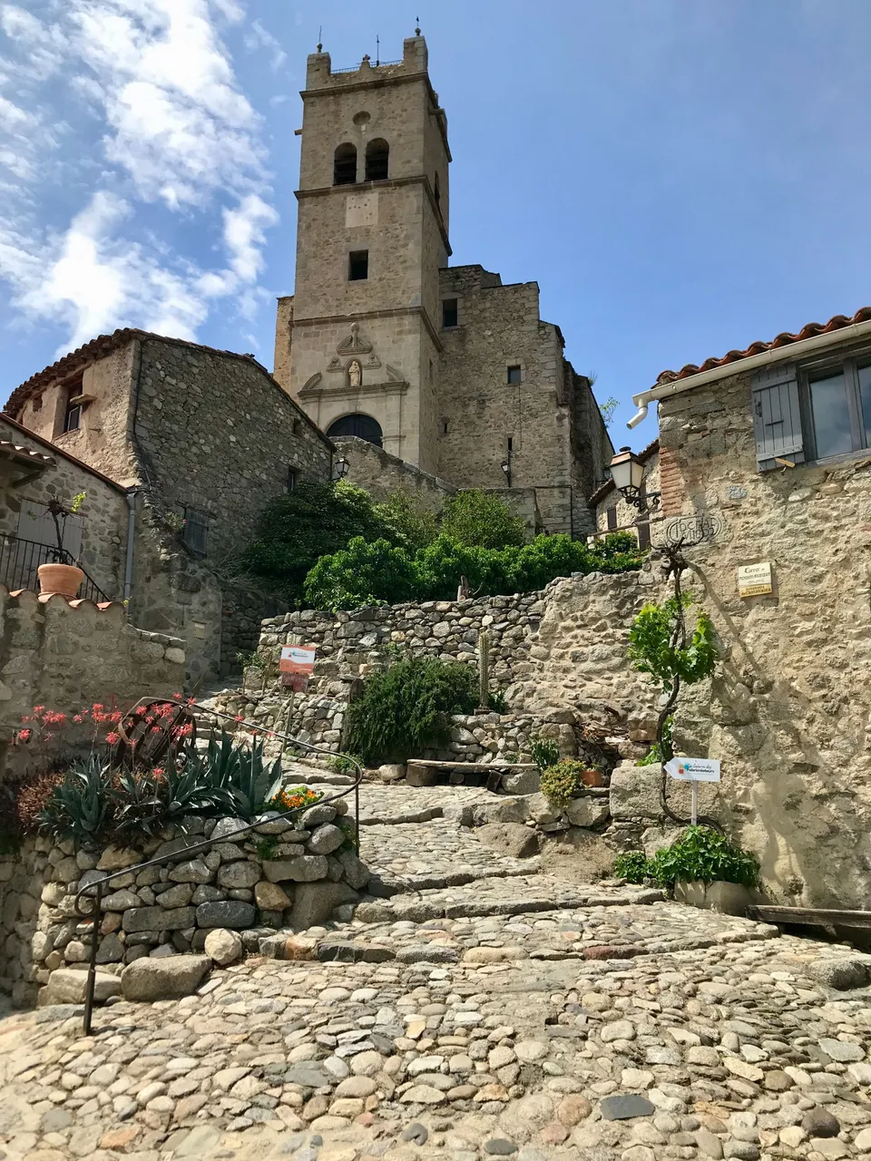 IMG_4176.jpeg