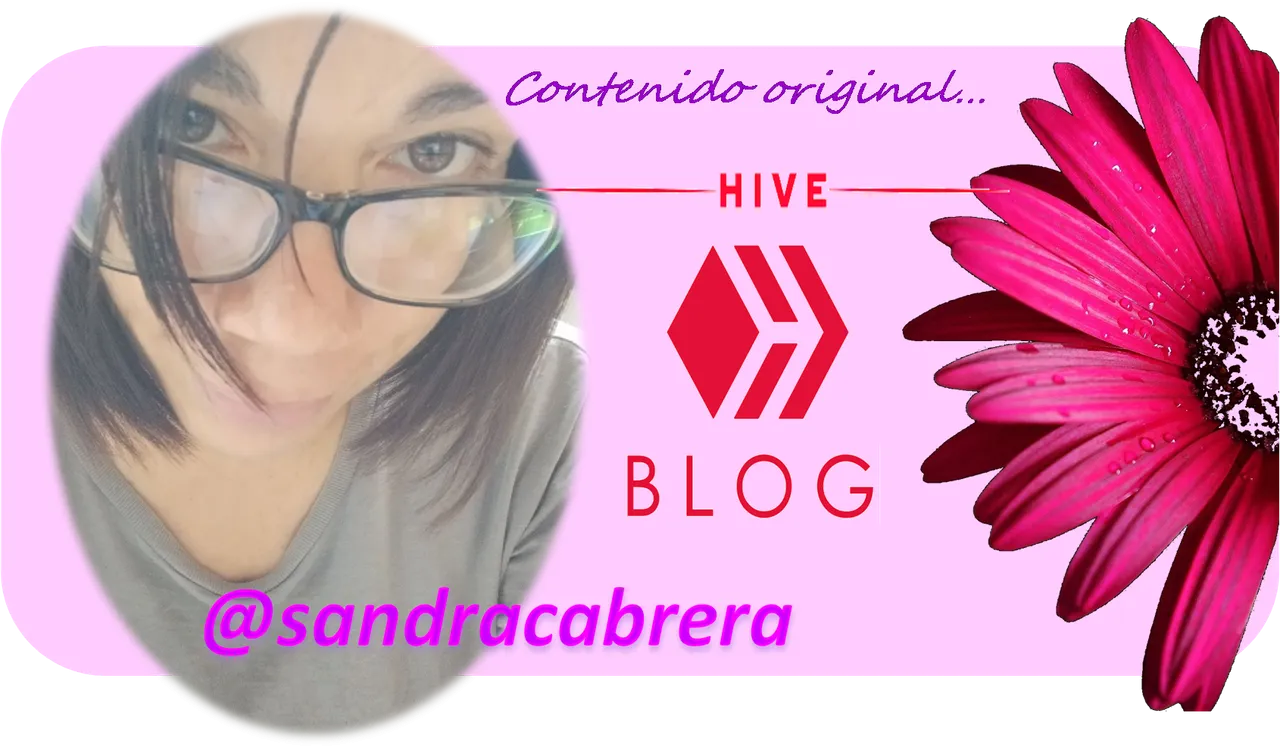 sandrahiveblog.png