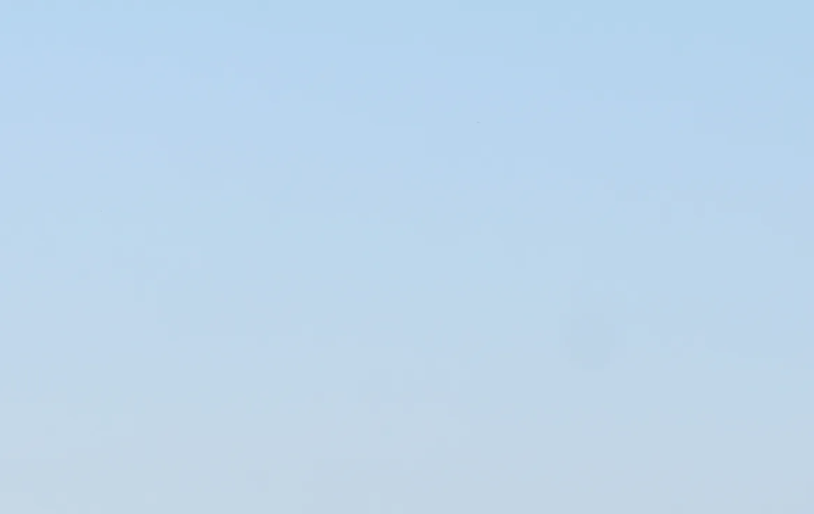 Untitled22.png