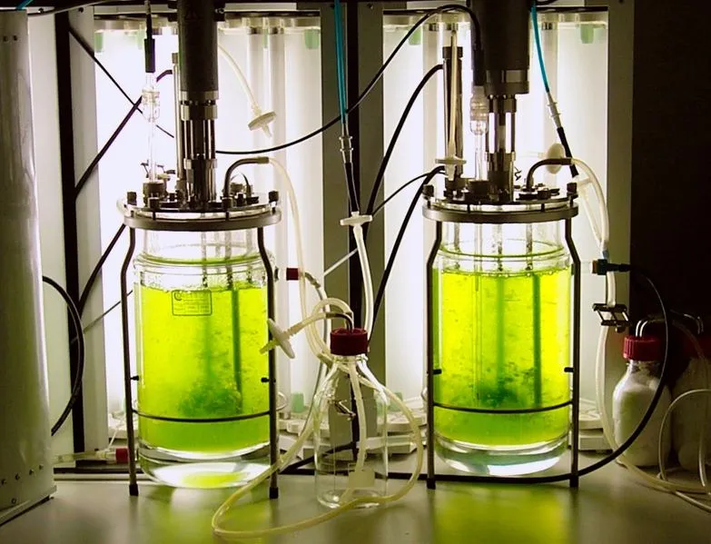 783px-Bioreaktor_quer2.jpg