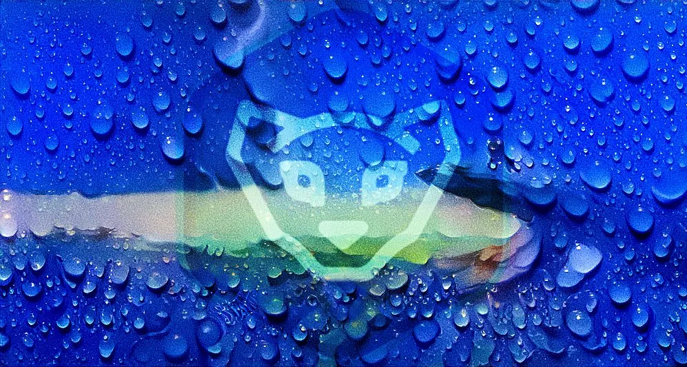 cub1.jpg