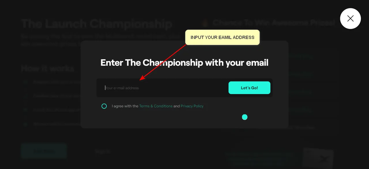 INPUT EMAIL.png