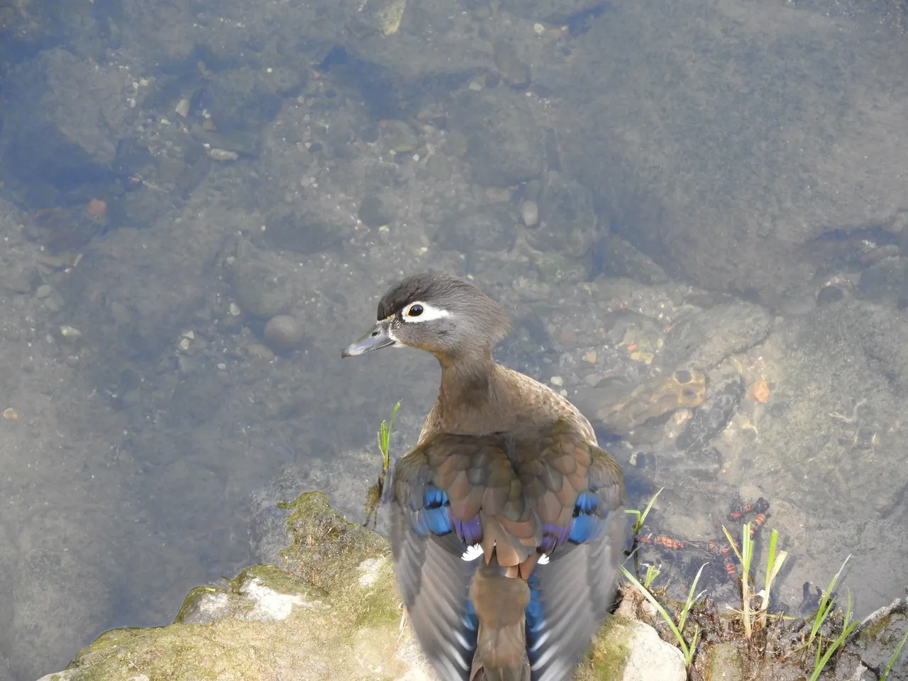 DSCN8635.JPG