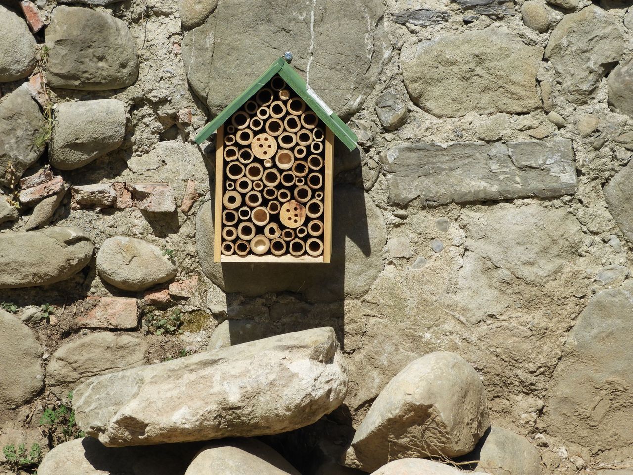 DSCN9580.JPG