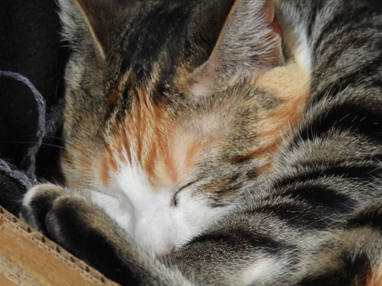 DSCN9857.JPG