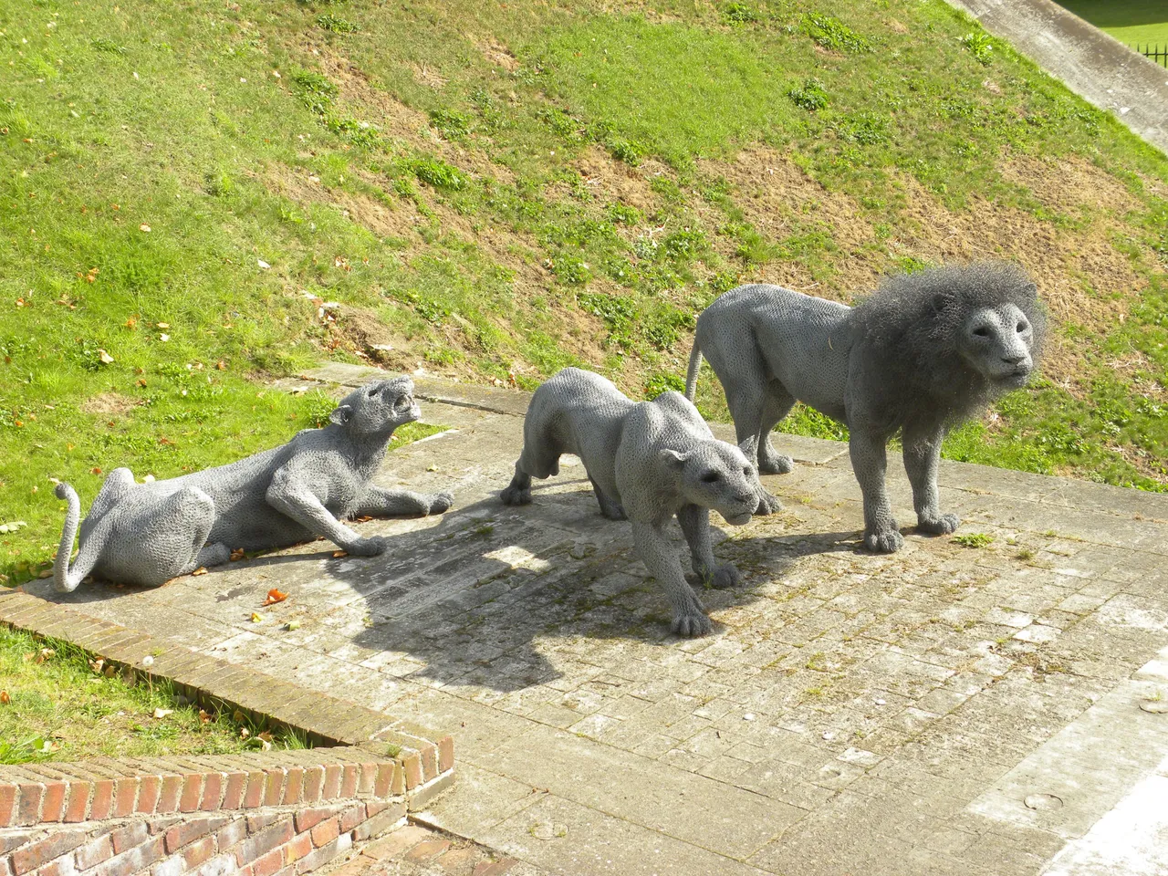 DSCN1649.JPG