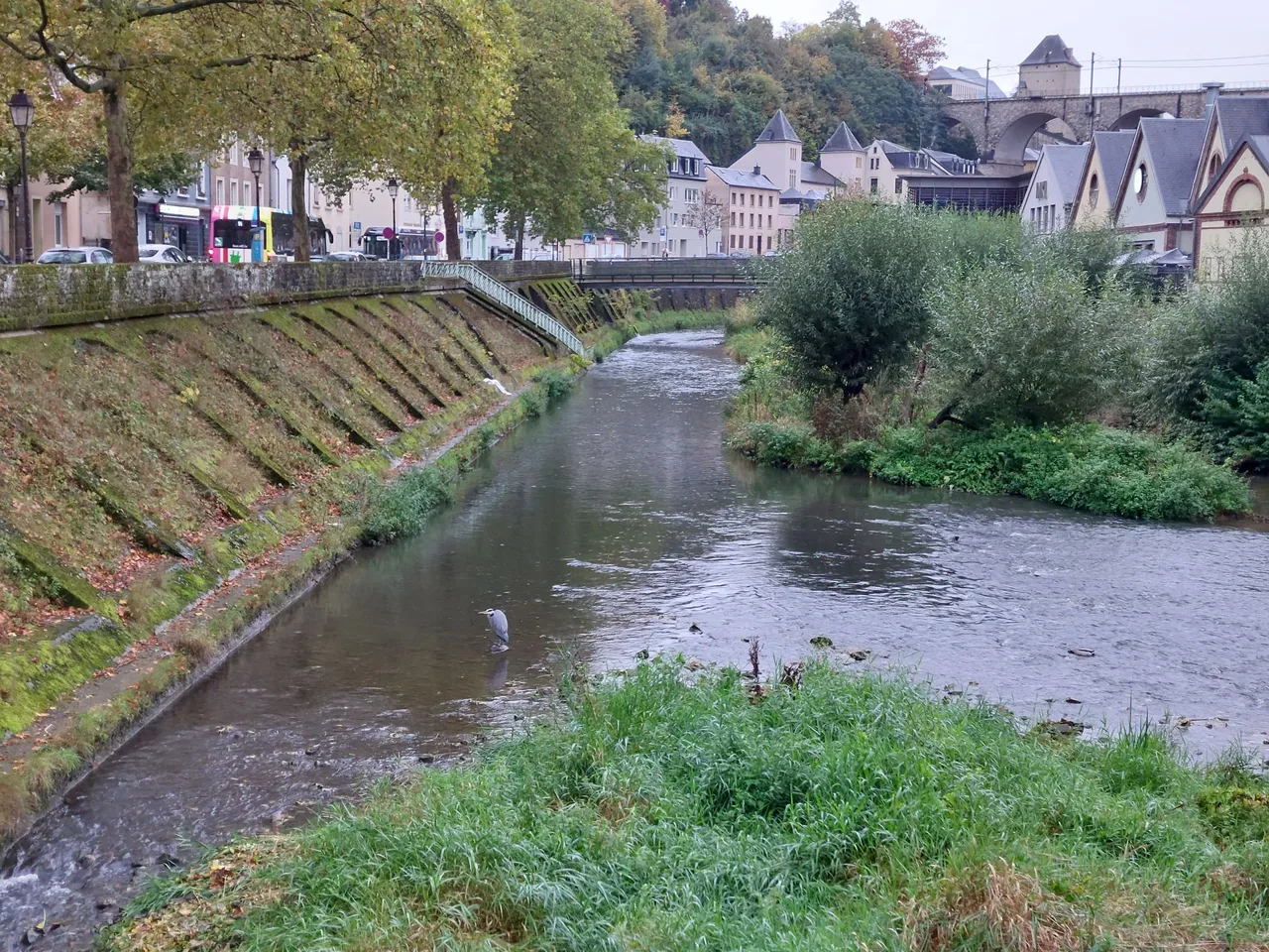 20231023_171243.jpg