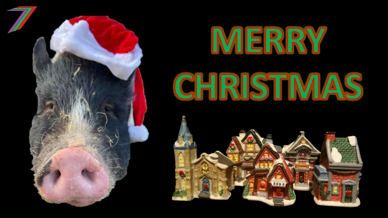 Christmas_Contest_MERRY_CHRISTMAS.jpg