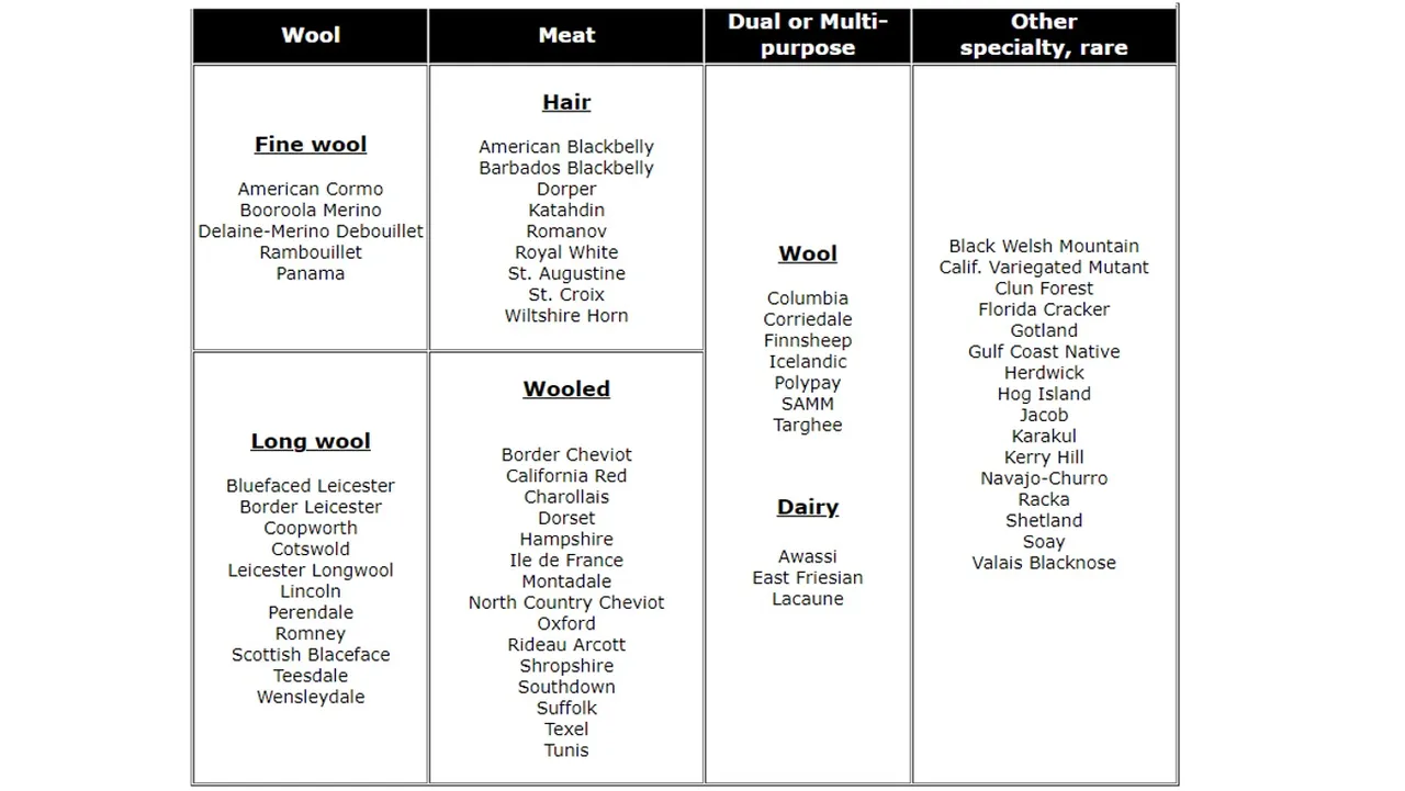 Manipulated_Sheep_Types.jpg