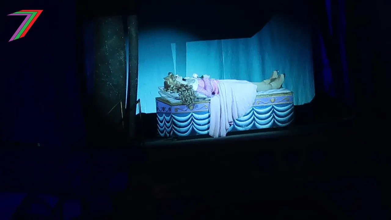 Year_Shows_Disney_Sleeping_Beauty_3.jpg