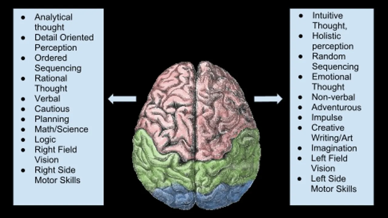 Gender_Left_Right_Brain.jpg