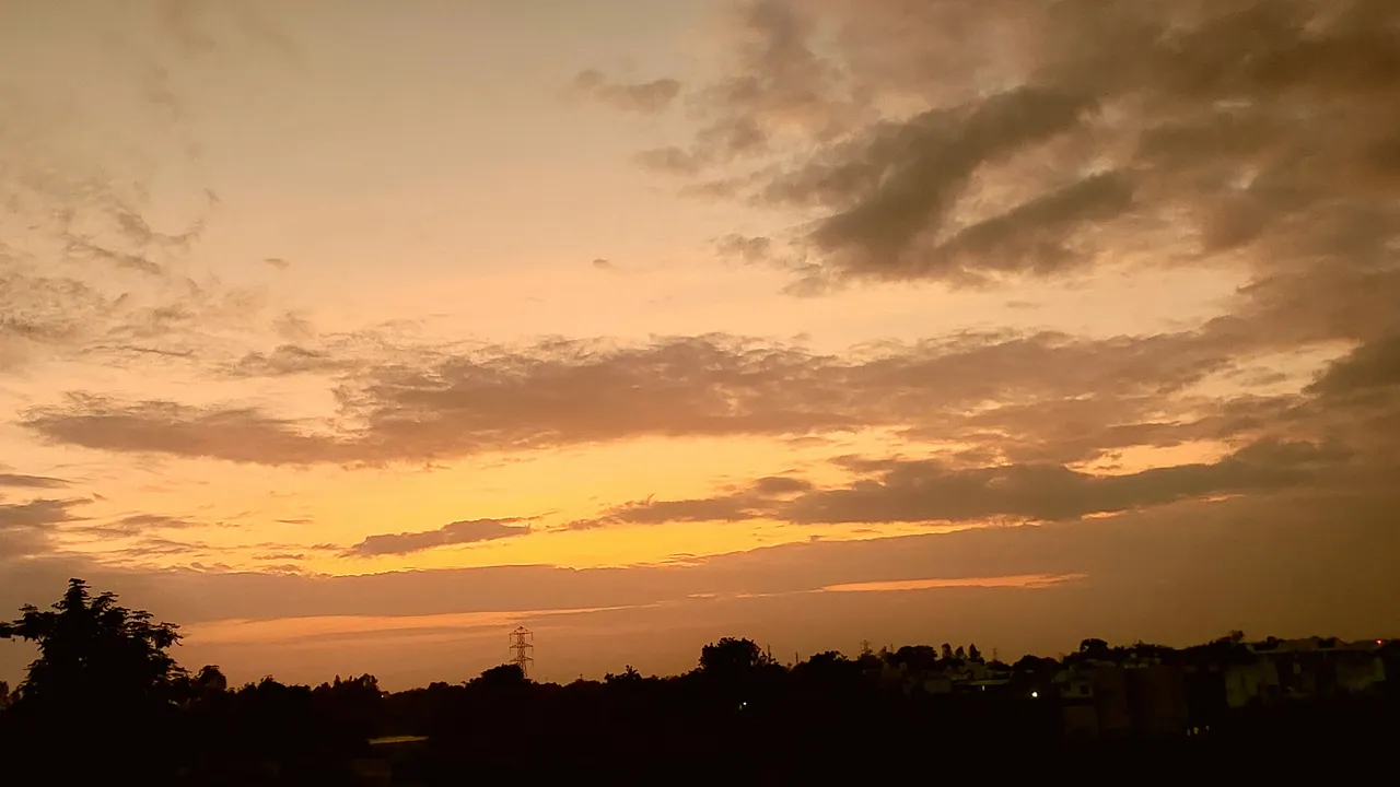 20250724_194224.jpg