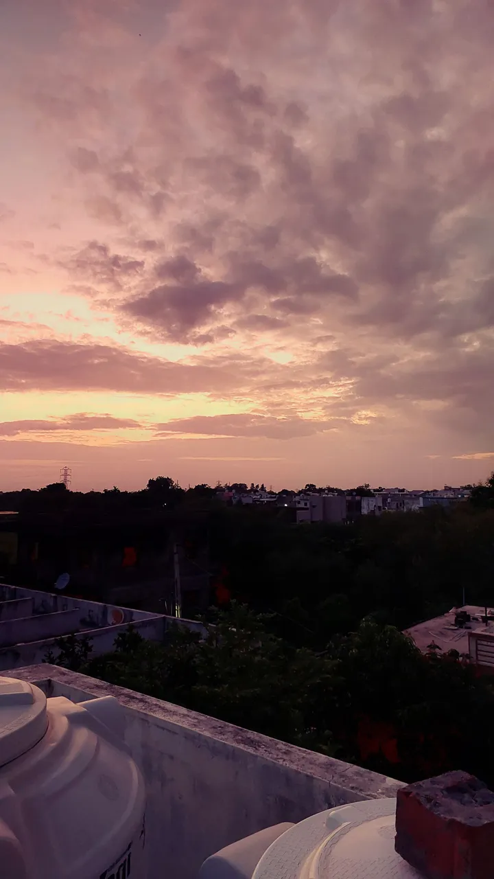 20250724_193831.jpg