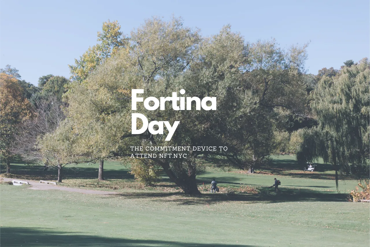 Fortina Day Campaign.png