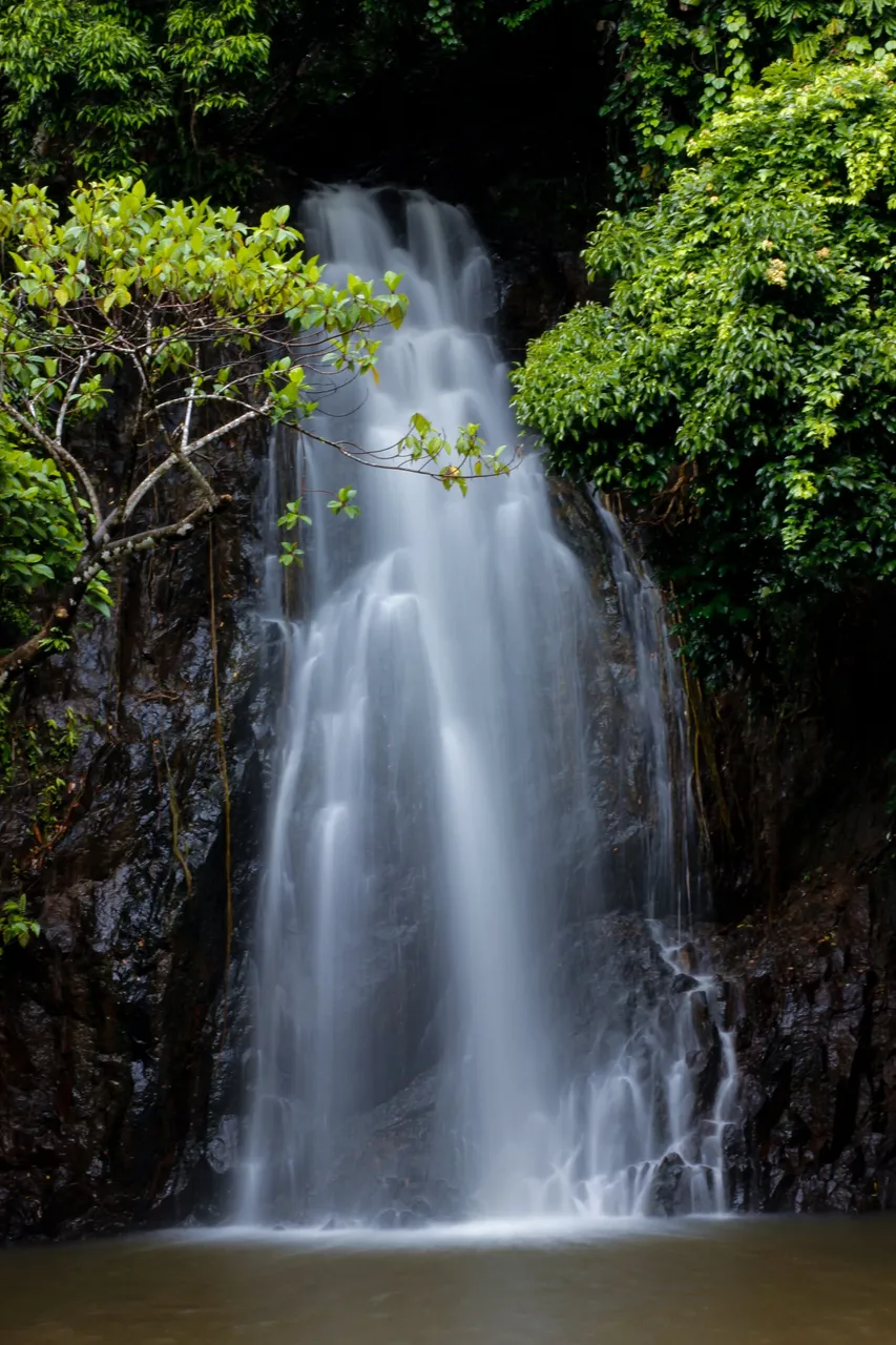 _MG_2641.jpg