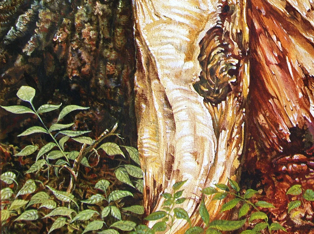 SH101671ps-LARGEgood200dpiDETAIL.jpg