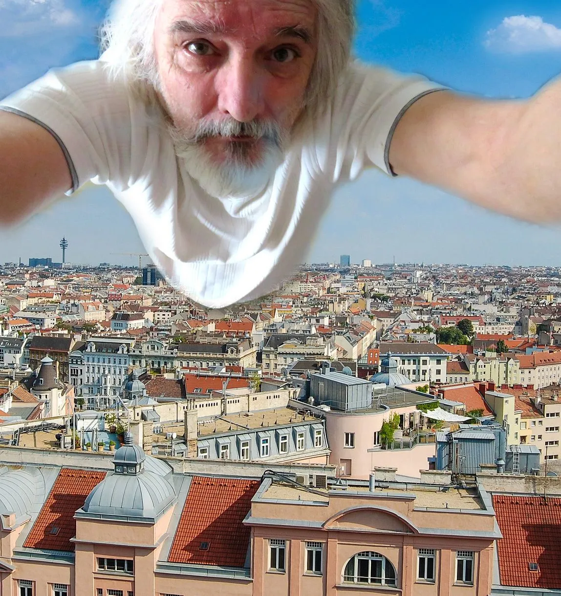 panorama-427929_1920-play.jpg
