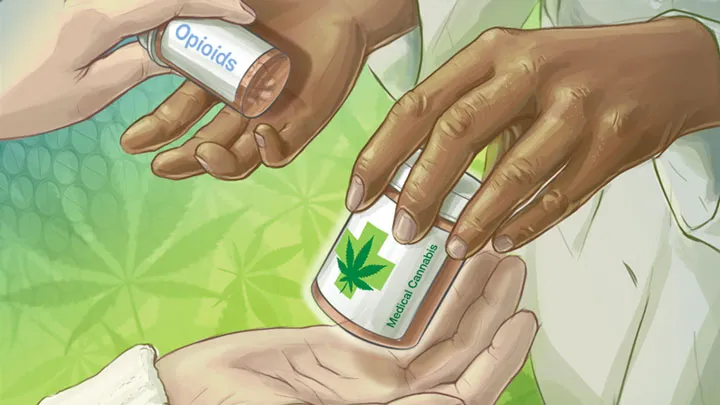marijuana-720x405.jpg