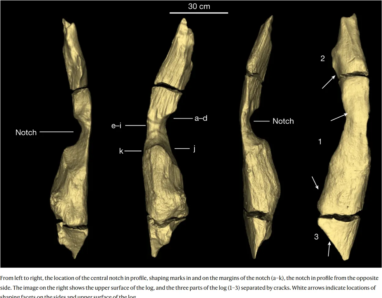 oldest-wooden-structure-cutmarks.png