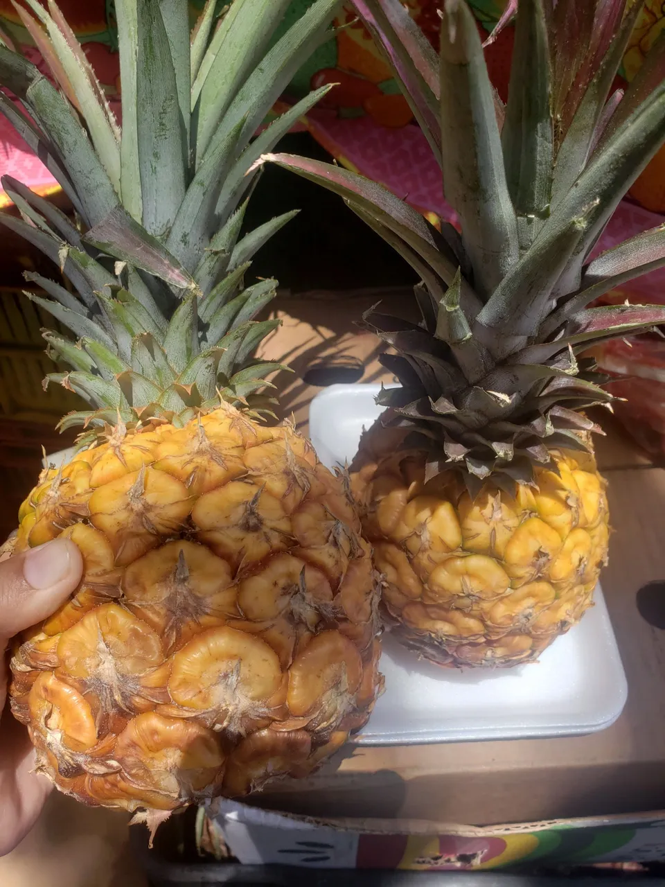 20230913_131618.jpg
